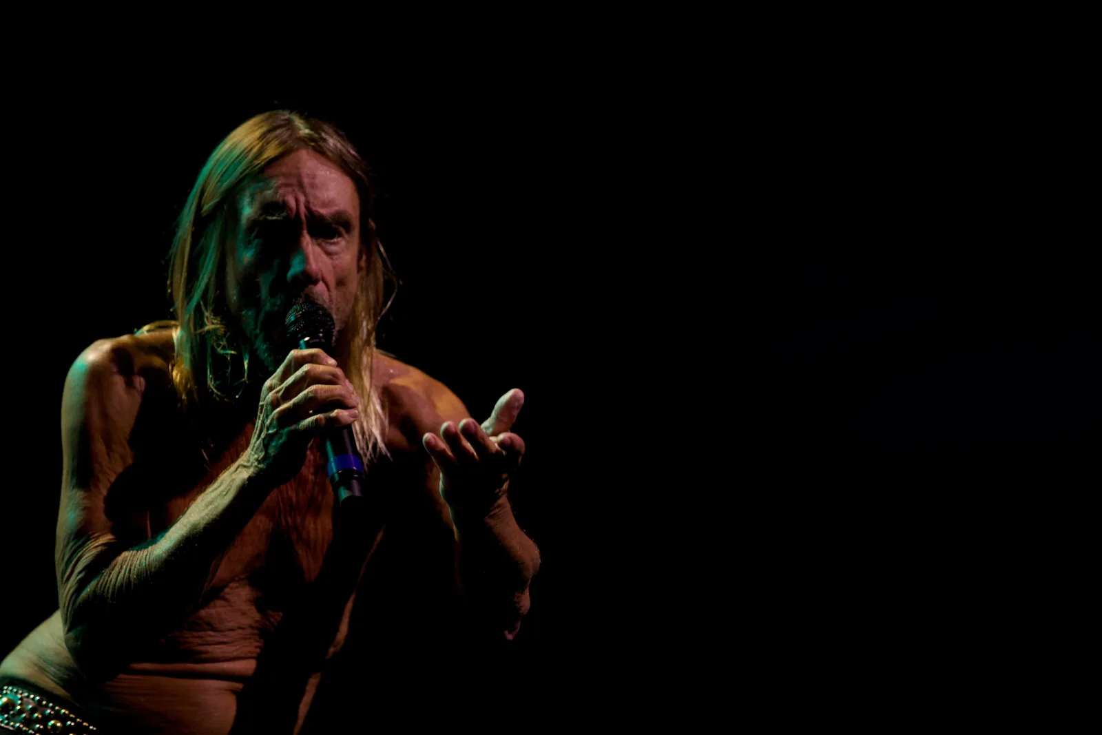 Iggy_Photo_by_Bjorn_Tagemose_1.jpg