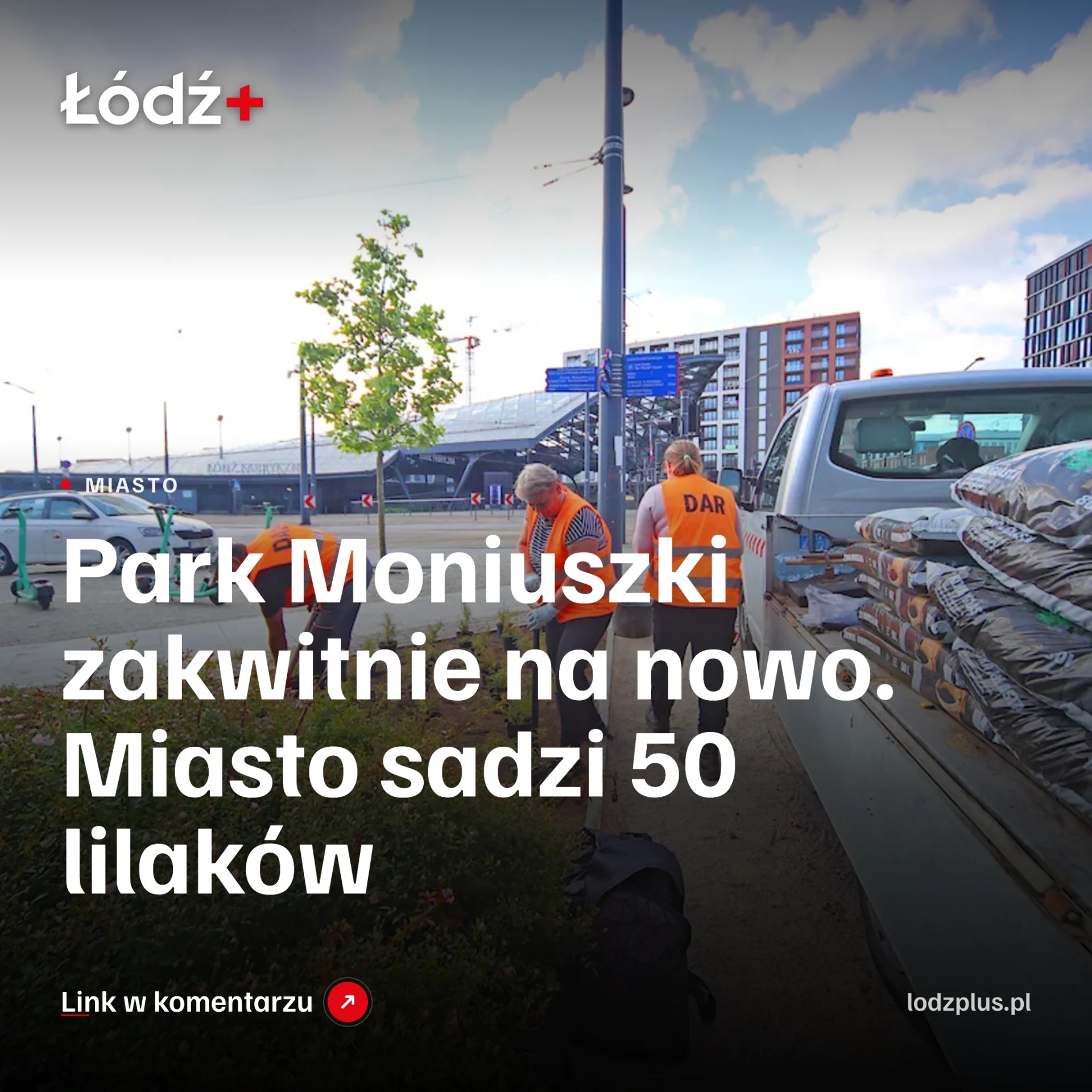Park Moniuszki zakwitnie na nowo. Miasto sadzi 50 lilaków episode artwork