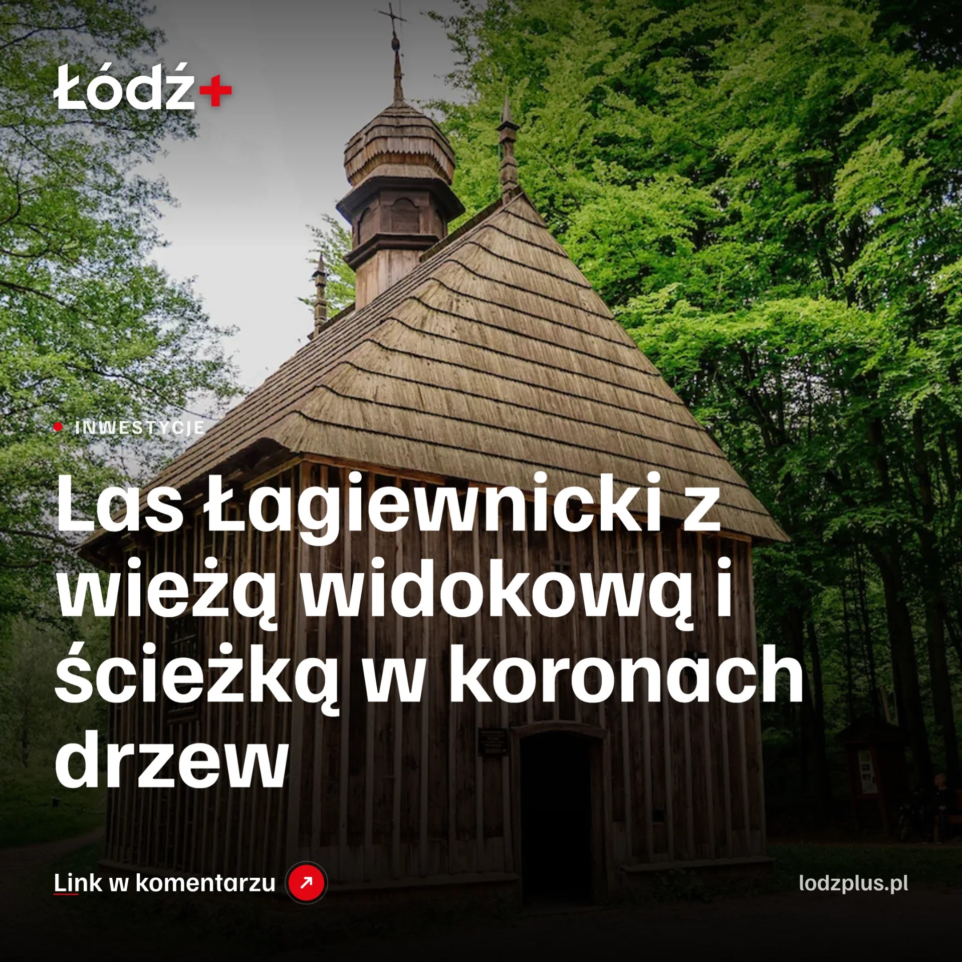 Las Łagiewnicki z wieżą widokową i ścieżką w koronach drzew episode artwork