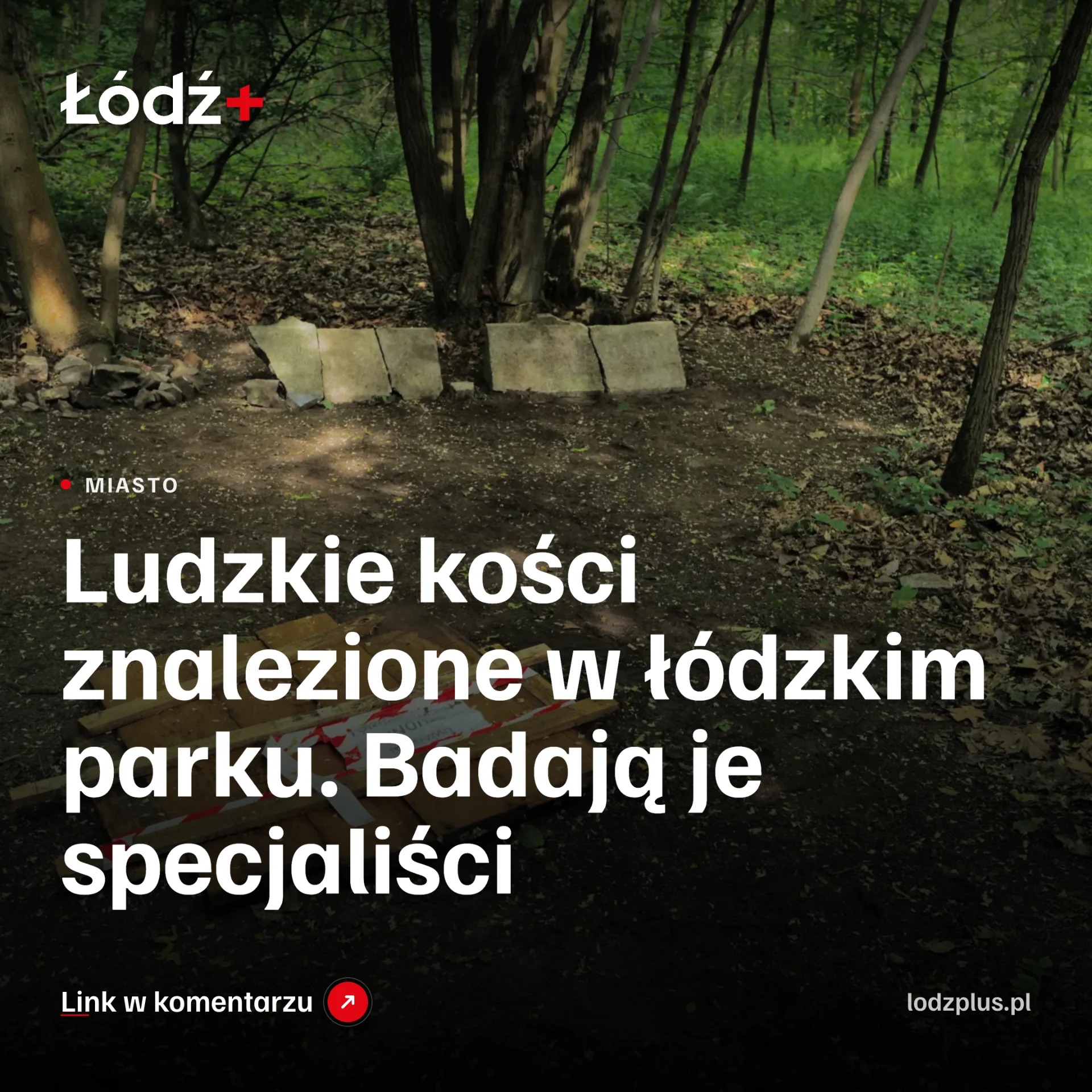 Ludzkie kości znalezione w łódzkim parku. Badają je specjaliści episode artwork