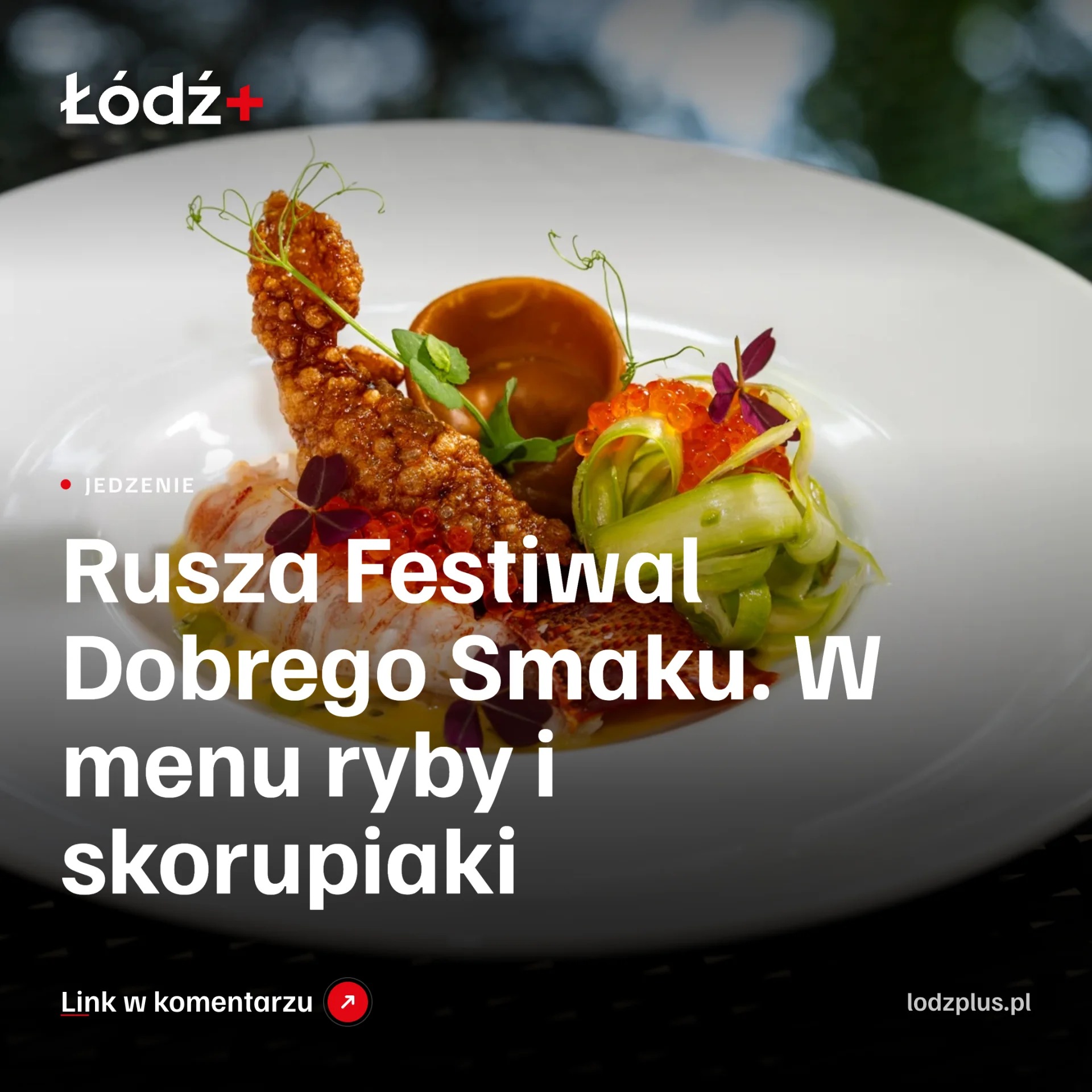 Rusza Festiwal Dobrego Smaku. W menu ryby i skorupiaki episode artwork