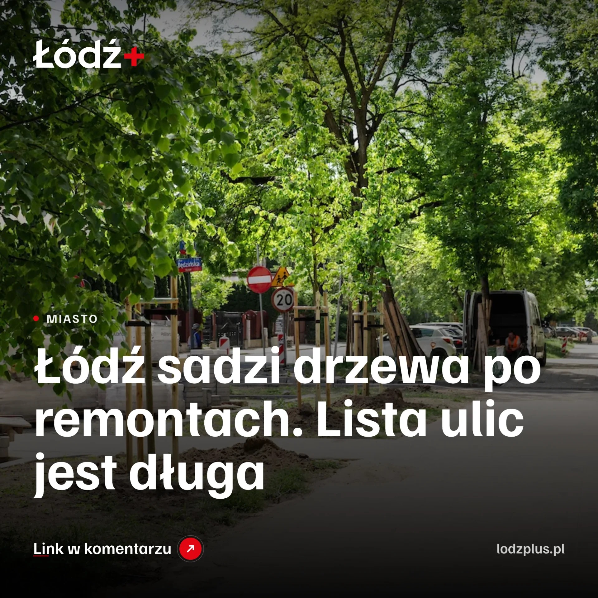 Łódź sadzi drzewa po remontach. Lista ulic jest długa episode artwork