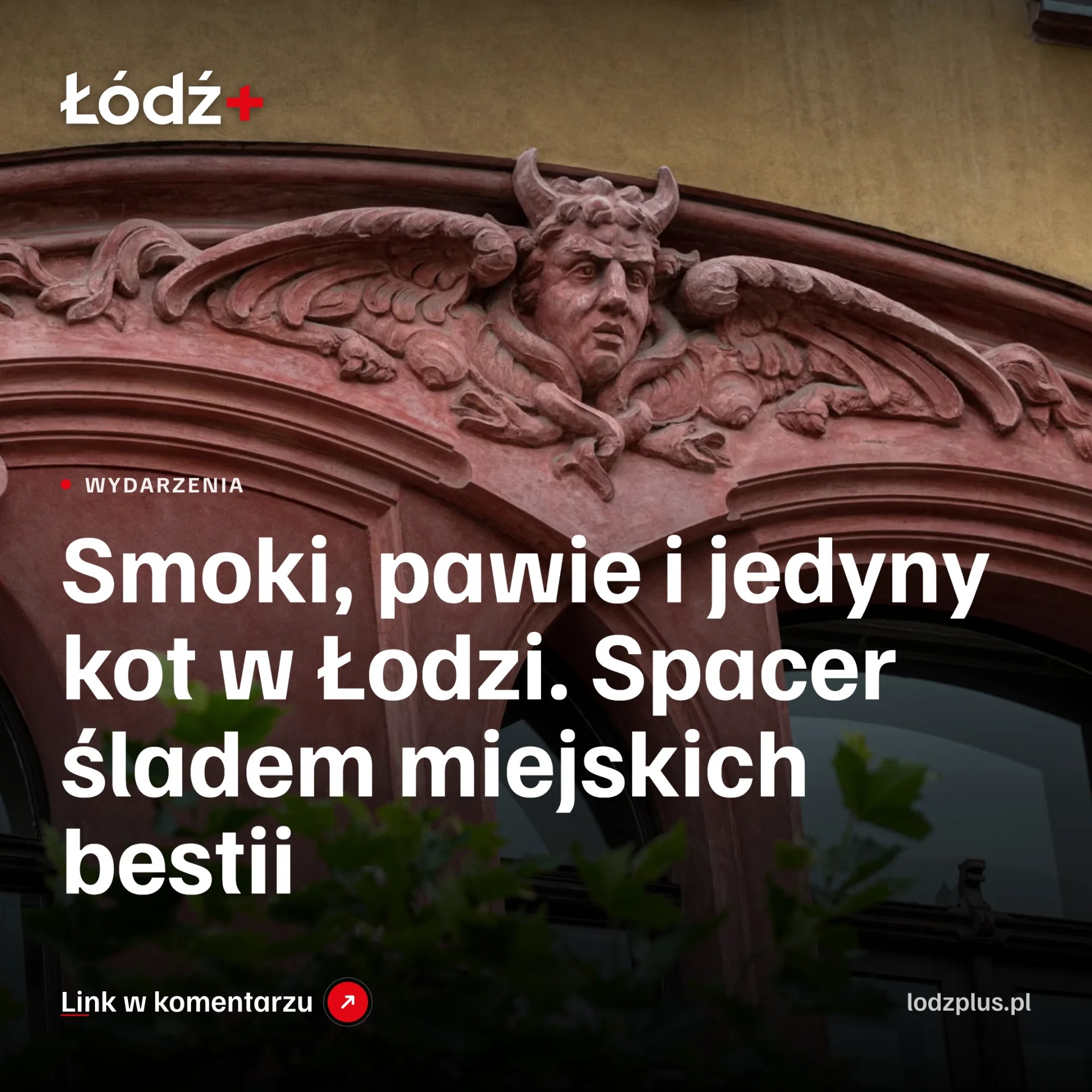 Smoki, pawie i jedyny kot w Łodzi. Spacer śladem miejskich bestii episode artwork