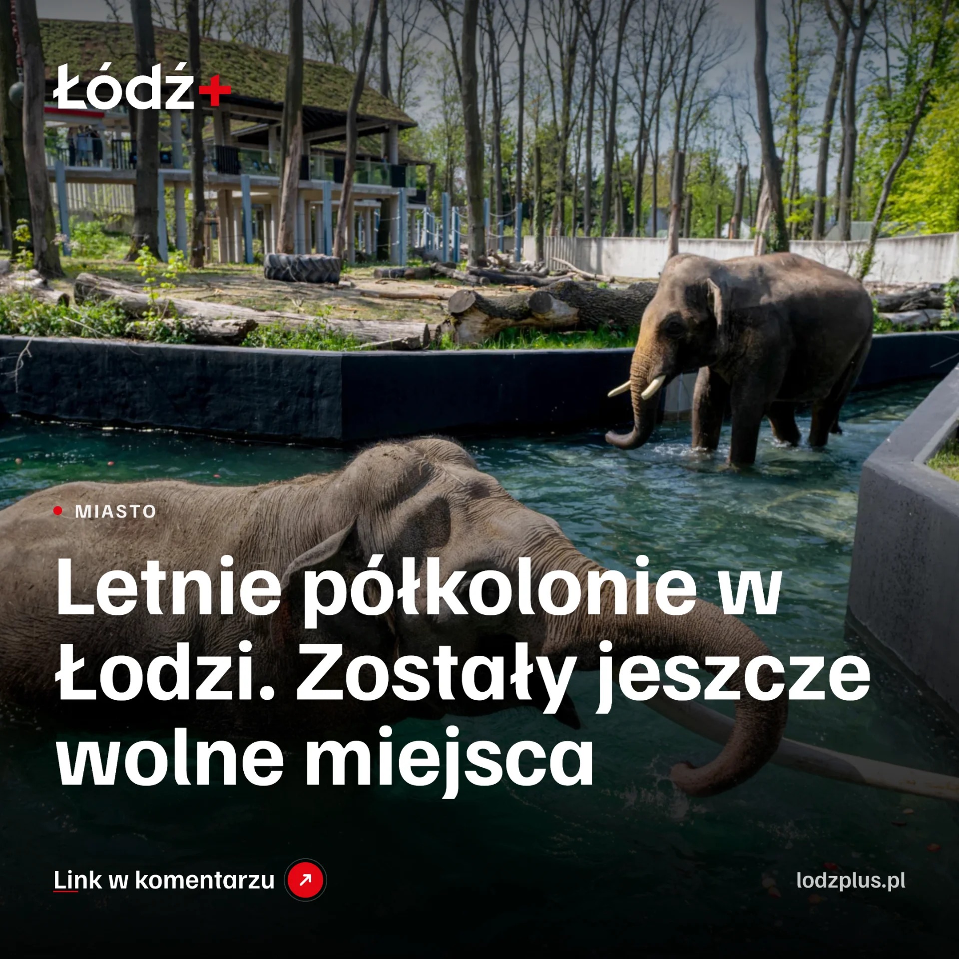 Letnie półkolonie w Łodzi. Zostały jeszcze wolne miejsca episode artwork