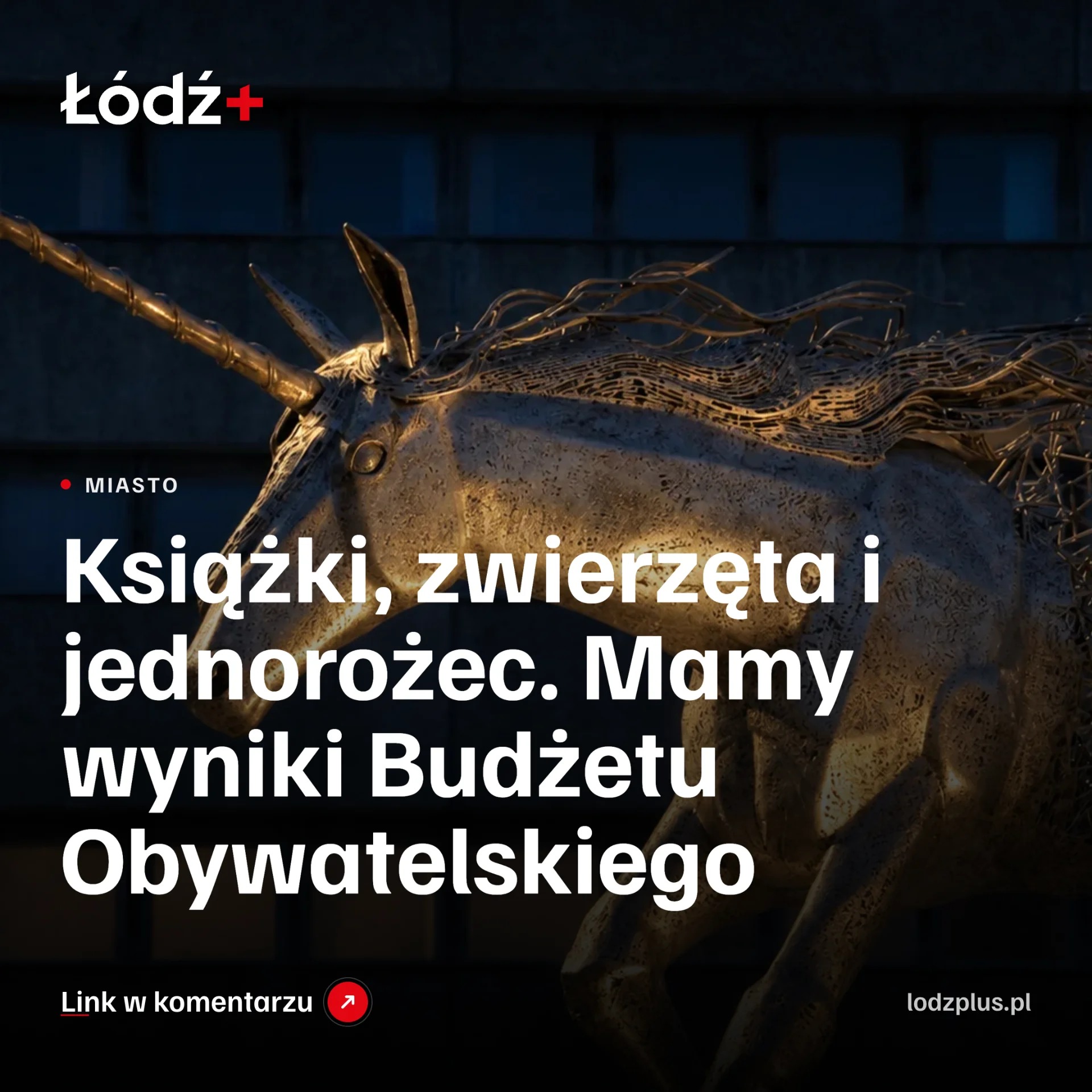 Książki, zwierzęta i jednorożec. Mamy wyniki Budżetu Obywatelskiego episode artwork