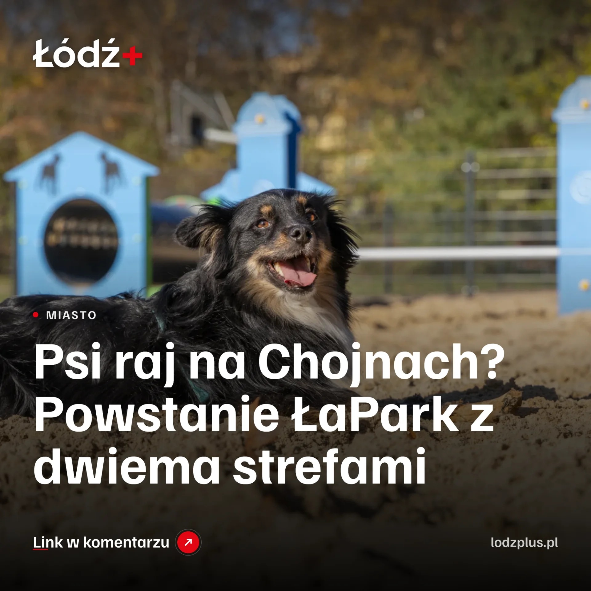 Psi raj na Chojnach? Powstanie ŁaPark z dwiema strefami episode artwork
