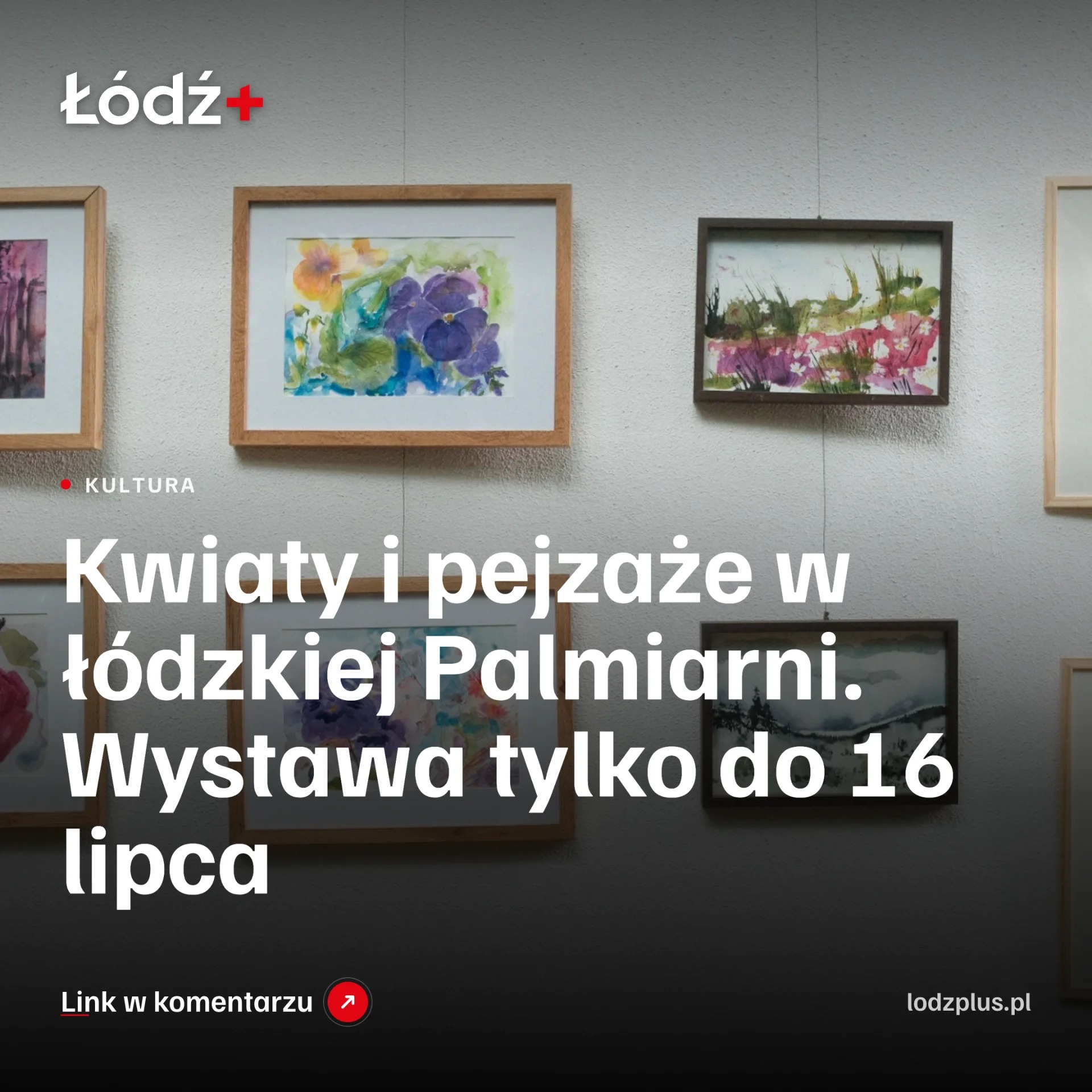 Kwiaty i pejzaże w łódzkiej Palmiarni. Wystawa tylko do 16 lipca episode artwork