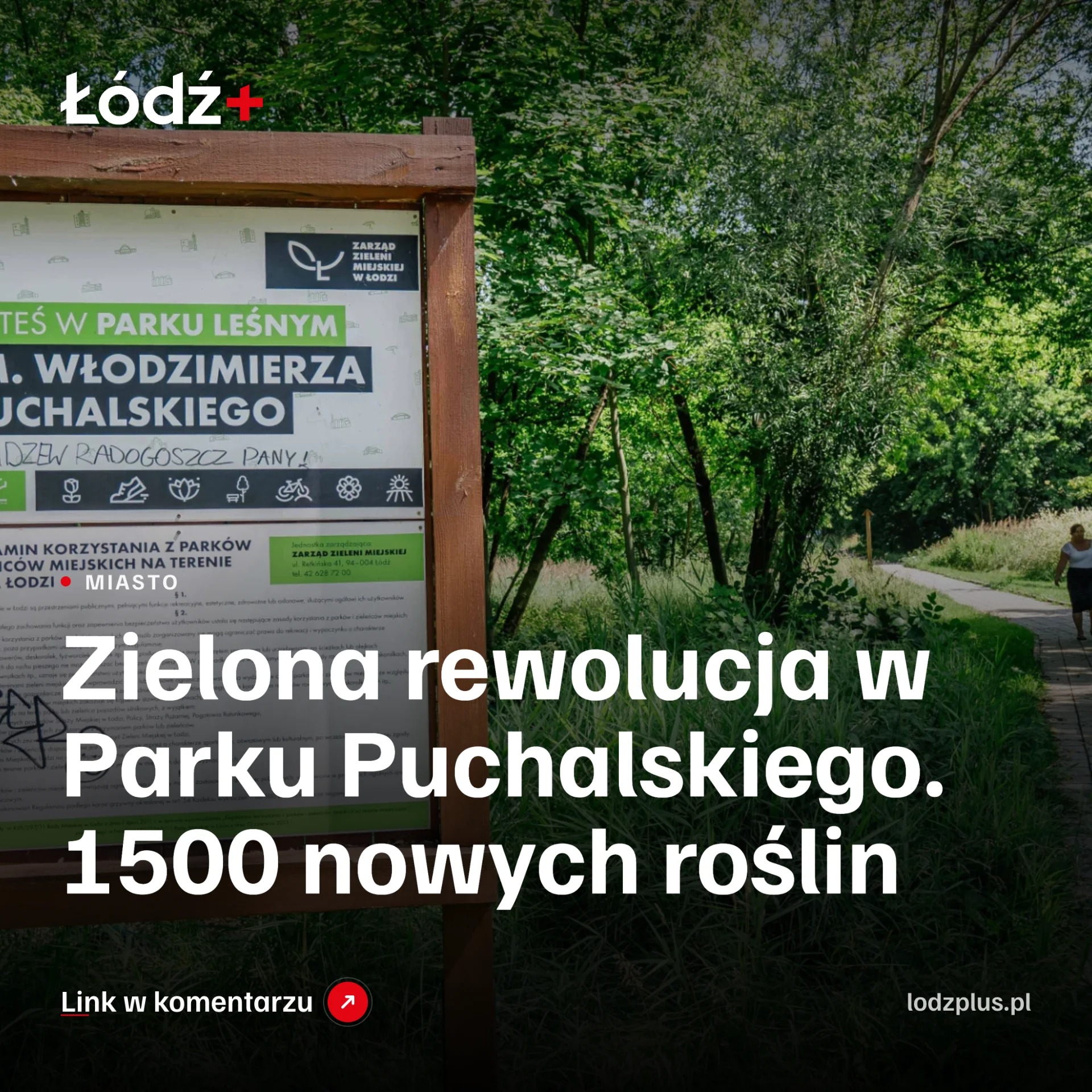 Zielona rewolucja w Parku Puchalskiego. 1500 nowych roślin episode artwork
