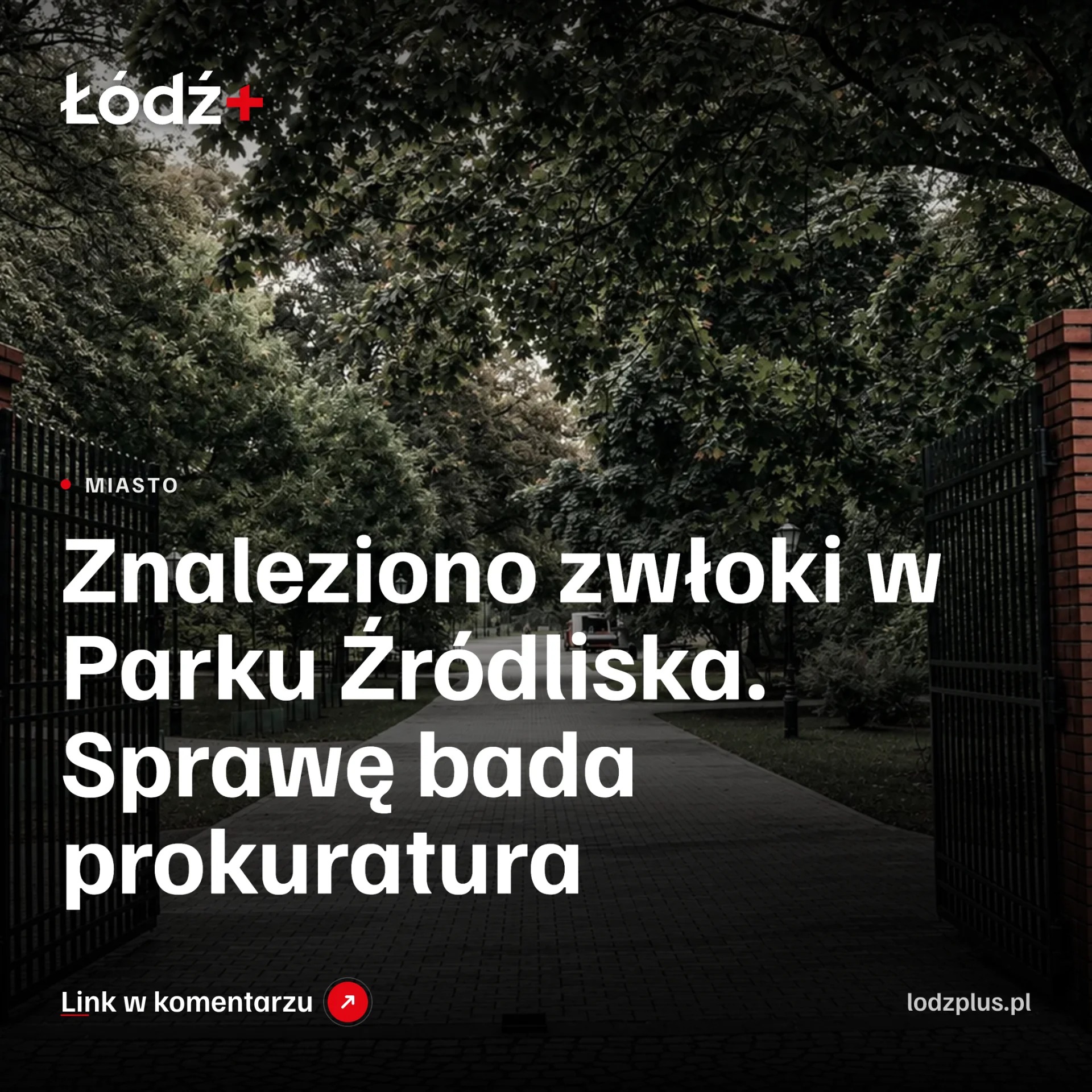 Znaleziono zwłoki w Parku Źródliska. Sprawę bada prokuratura episode artwork