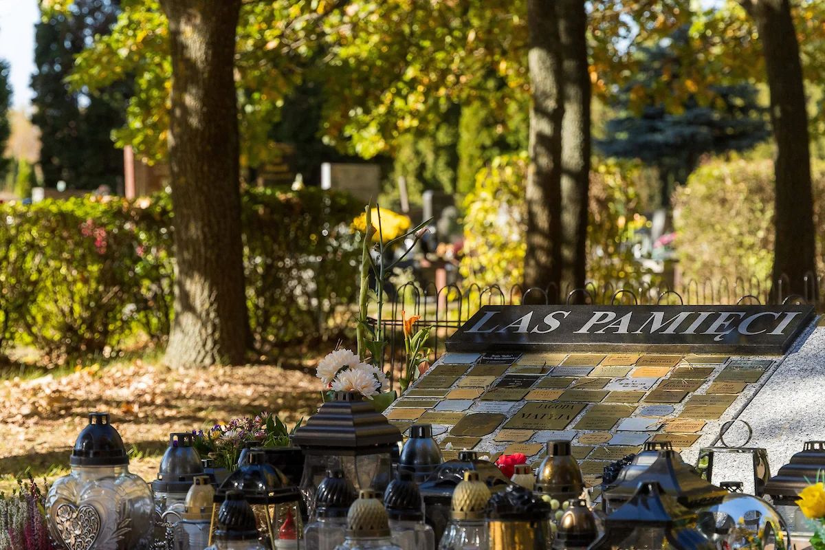 Tablica Las Pamięci z kwiatami i zniczami