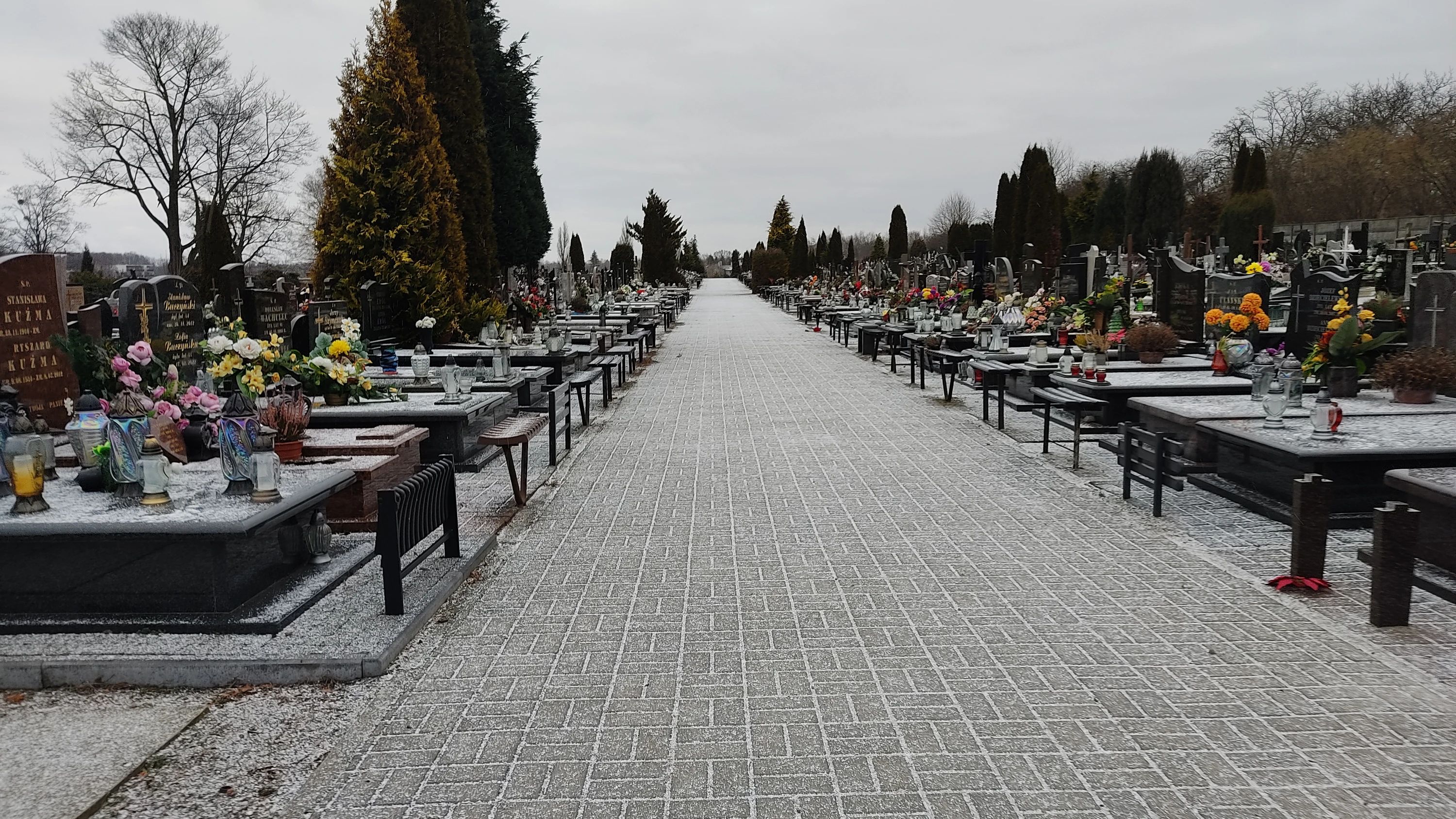 Na łódzkie cmentarze pojadą linie C. Kierowców czekają zmiany