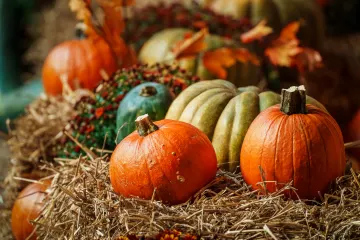 Lód, bieg po zmroku i horrory w 4K. Tak Łódź spędzi Halloween