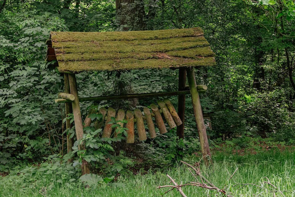 Las Łagiewnicki z wieżą widokową i ścieżką w koronach drzew – zdjęcie 3