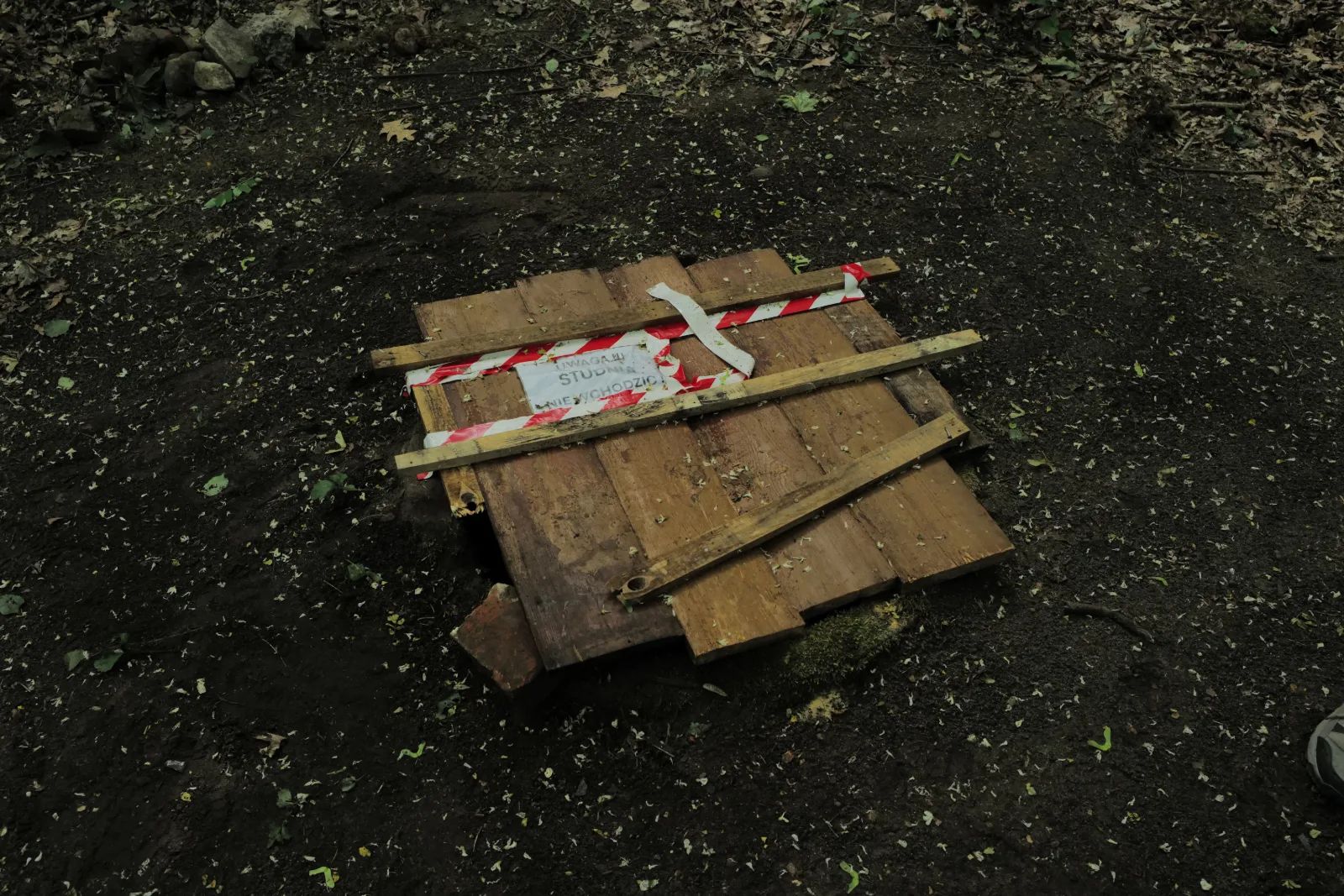 Ludzkie kości znalezione w łódzkim parku. Badają je specjaliści – zdjęcie 2