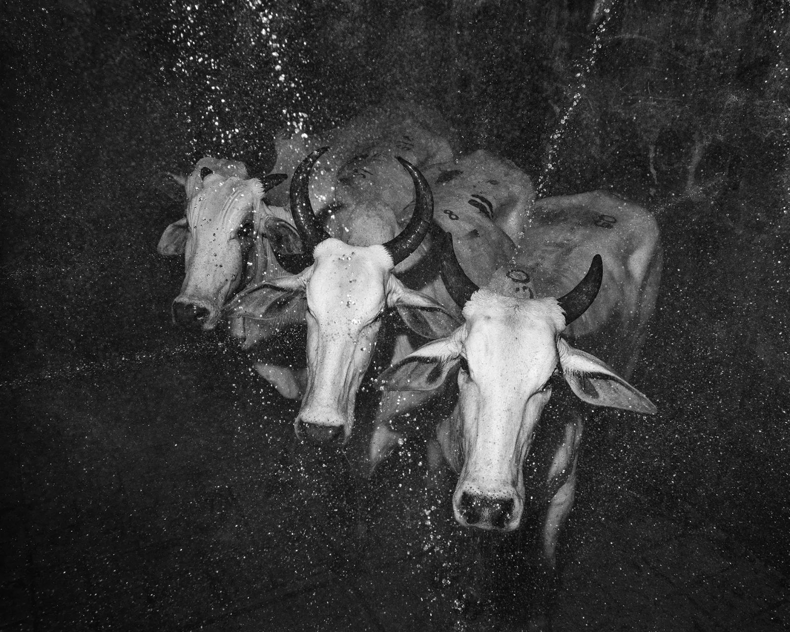 Jubileuszowy Fotofestiwal wraca do Łodzi. Co w pierwszy weekend? – zdjęcie 1