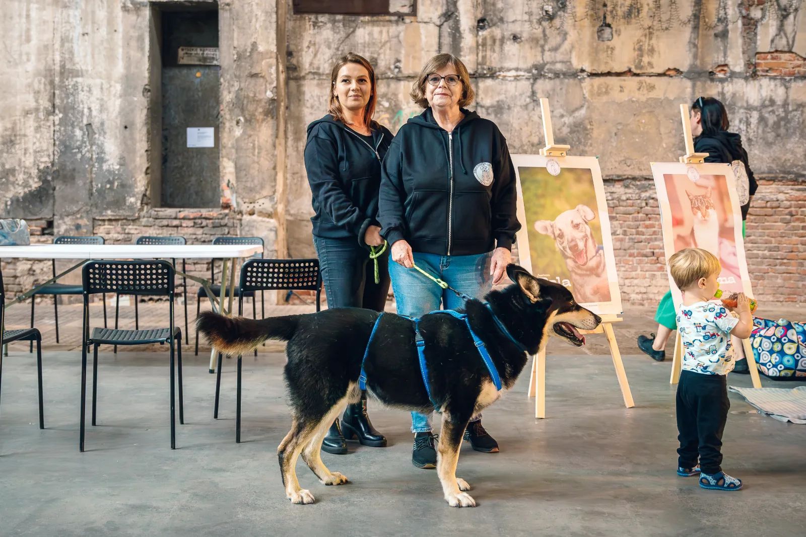 Piknik Zwierzaków w Fuzji. Adopcje, psie spa i targ – zdjęcie 5