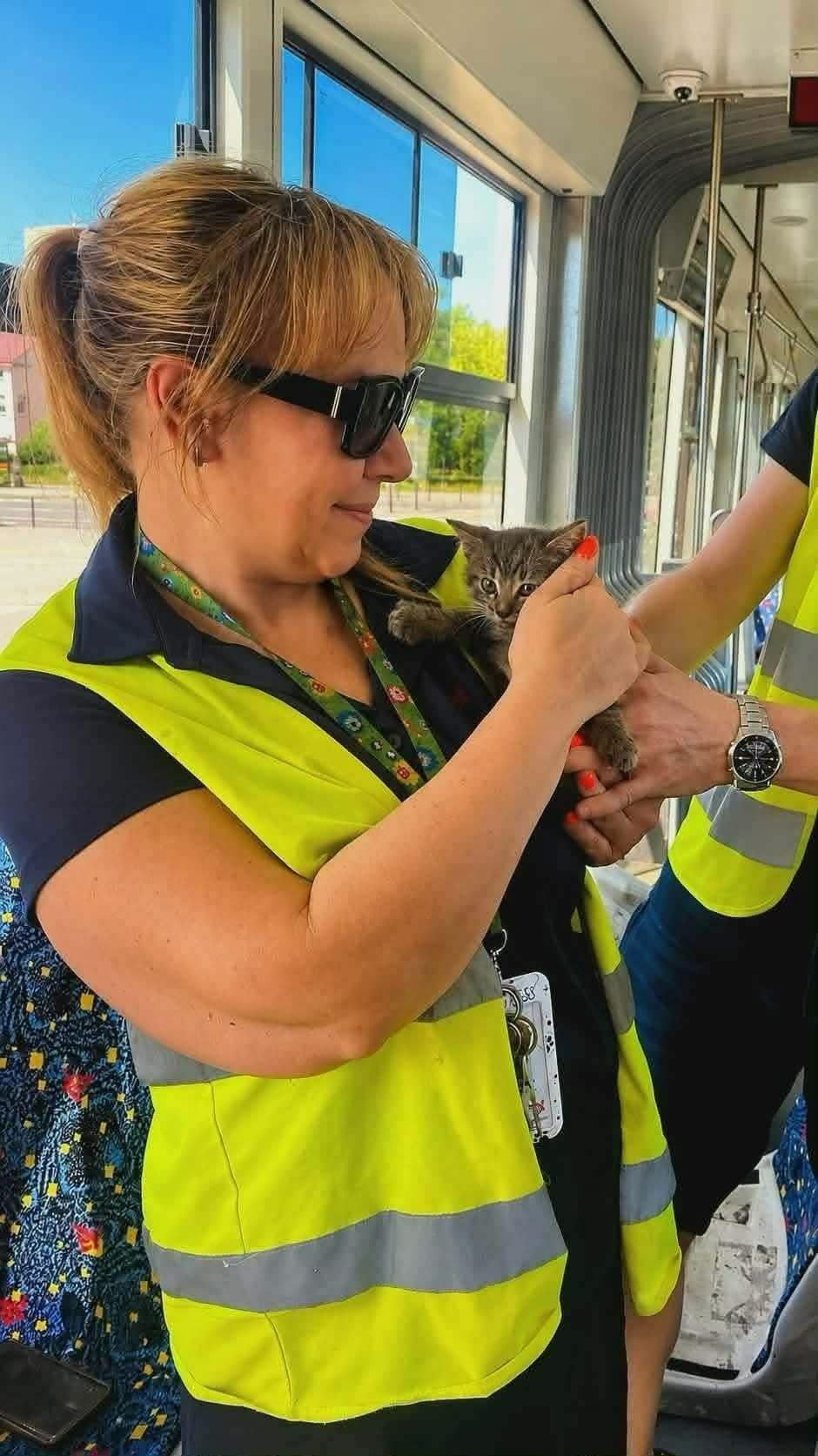 Mały kotek utknął pod tramwajem. Prowadząca ruszyła na ratunek – zdjęcie 2