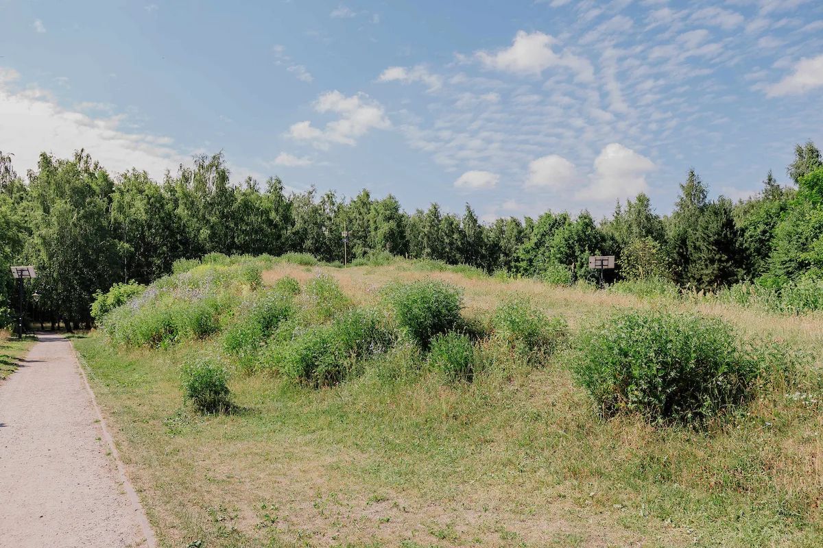 Tyrolka i małpi gaj w Parku na Smulsku. Zdecydowali łodzianie – zdjęcie 3