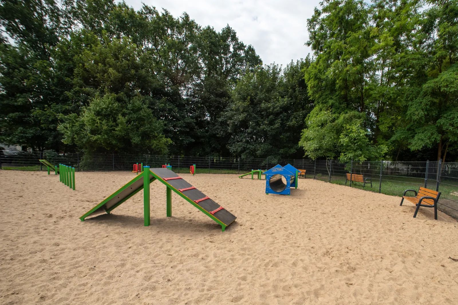 Psi raj na Chojnach? Powstanie ŁaPark z dwiema strefami – zdjęcie 1