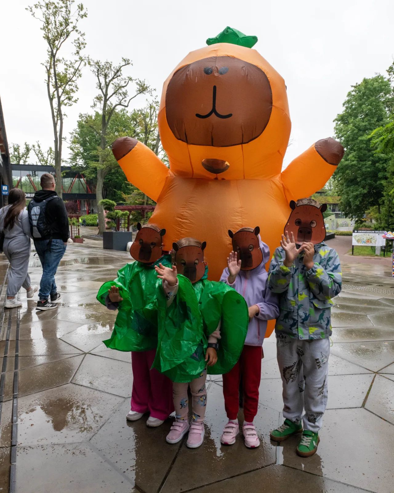 Fani kapibar znów opanują łódzkie zoo. Zlot wraca po roku – zdjęcie 1