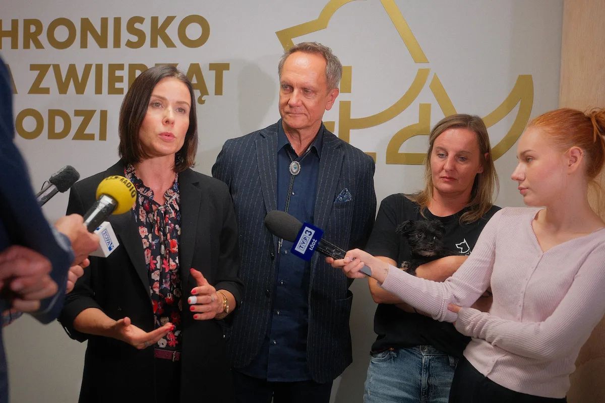 291 adopcji w łódzkim schronisku. Migawka i Natan mają domy – zdjęcie 4