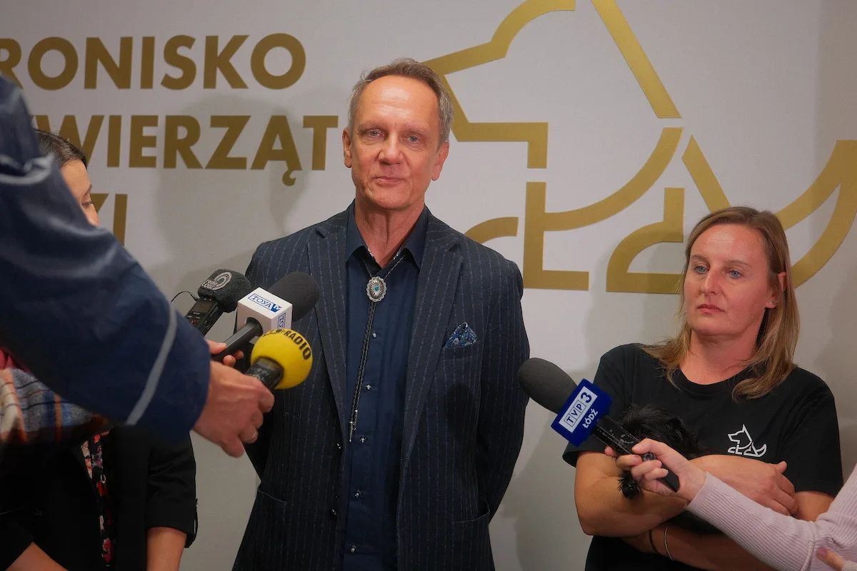291 adopcji w łódzkim schronisku. Migawka i Natan mają domy – zdjęcie 5