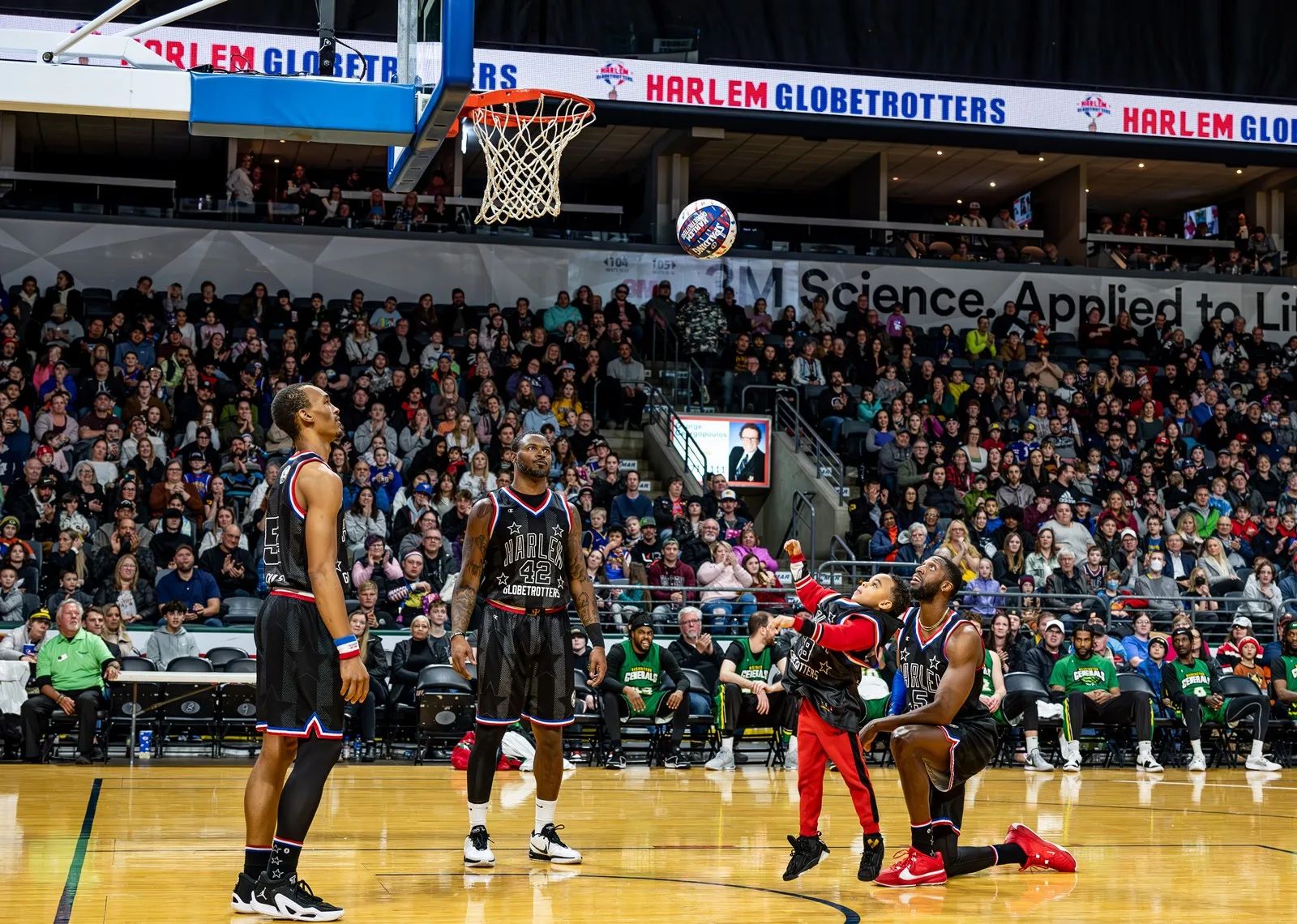 Harlem Globetrotters w Łodzi. W składzie pierwszy Polak w historii – zdjęcie 1