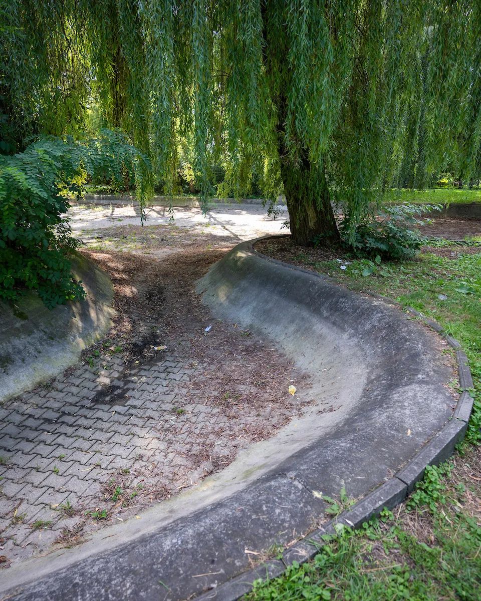 Suchy staw w Parku Staszica ma zniknąć. Miasto szykuje remont za 332 tys. zł – zdjęcie 5