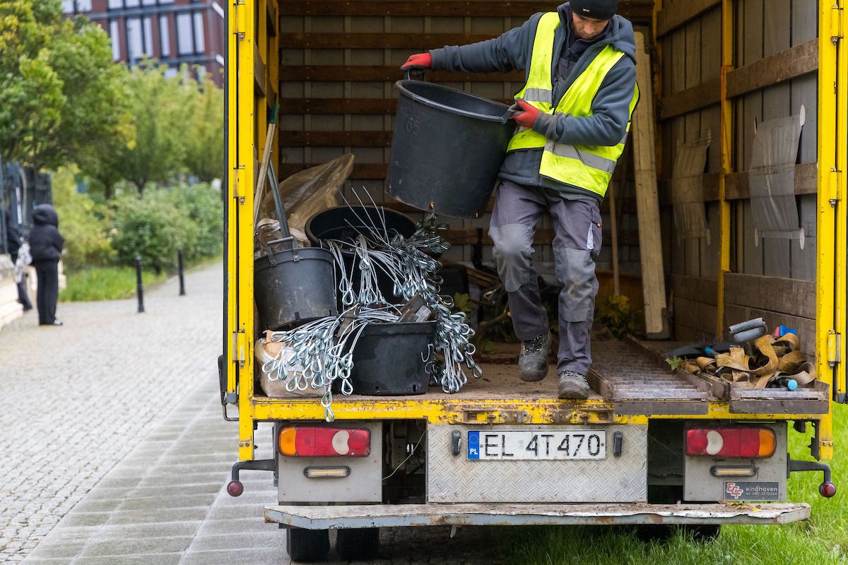 144 nowe drzewa przy trzech ulicach Łodzi. Trwa jesienna akcja – zdjęcie 5