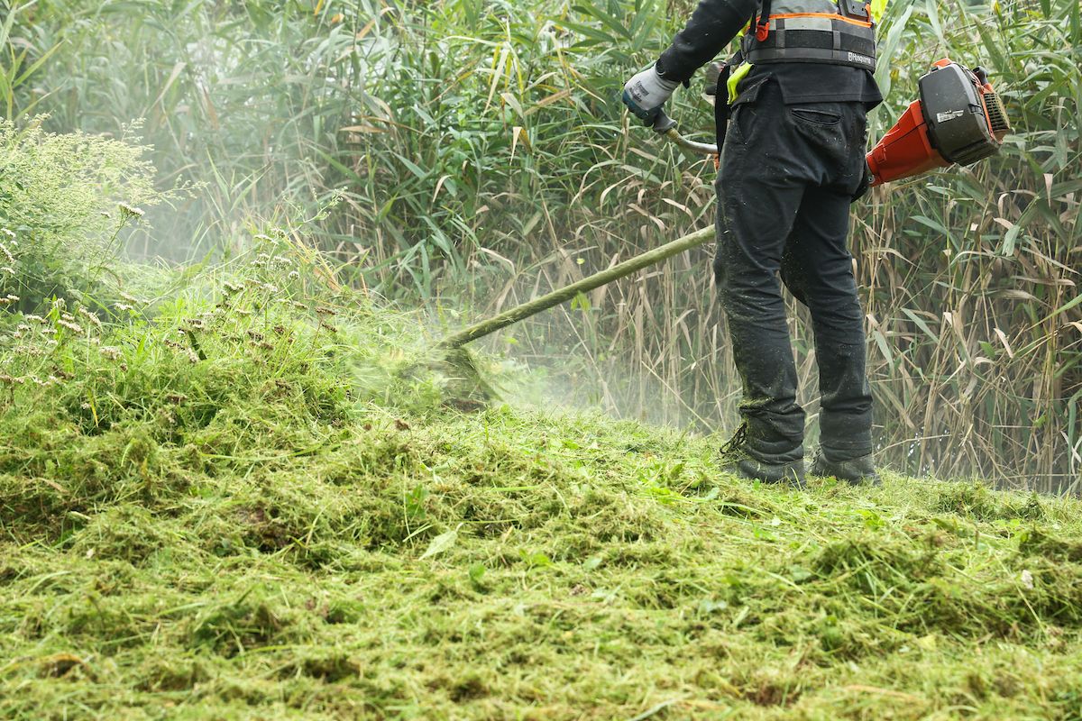 Ruszyła budowa zielonej plaży nad Jasieniem. Strefa rekreacji za ponad 1 mln zł – zdjęcie 4