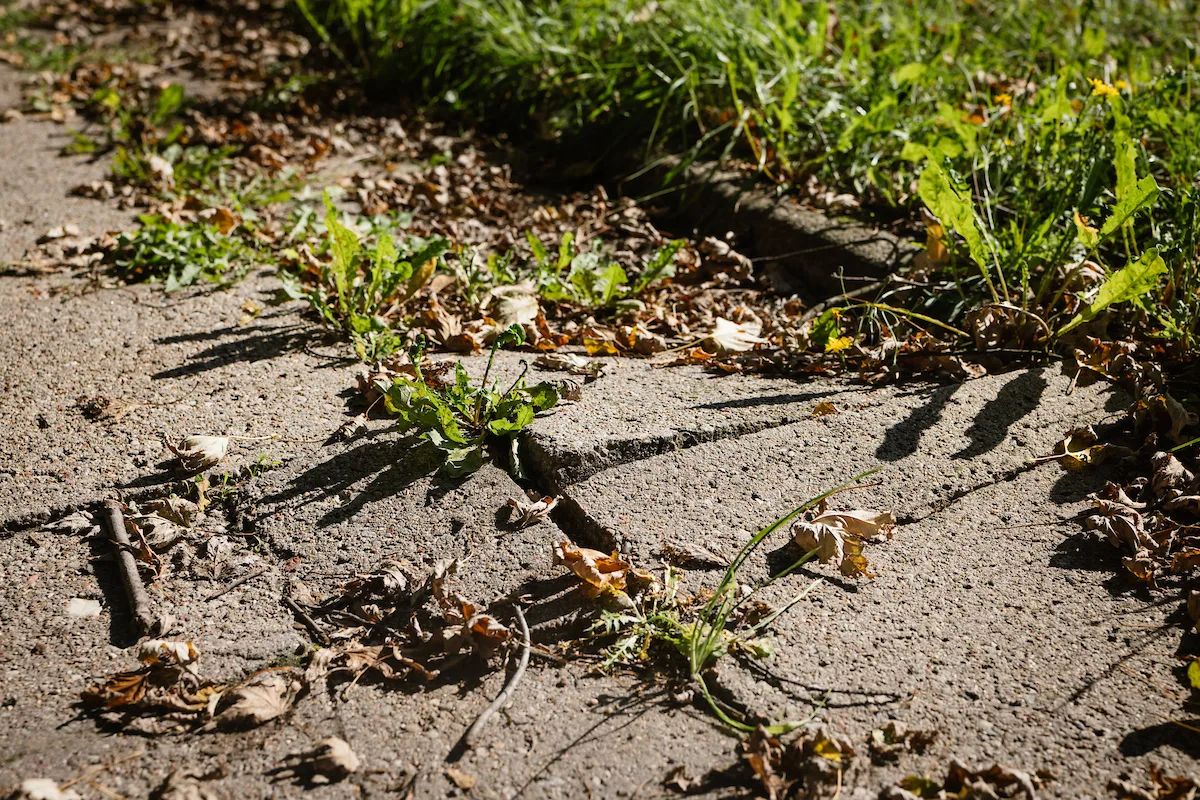 Zmiany na Pomorskiej dla rowerzystów. Kolejne dwa odcinki czekają – zdjęcie 1