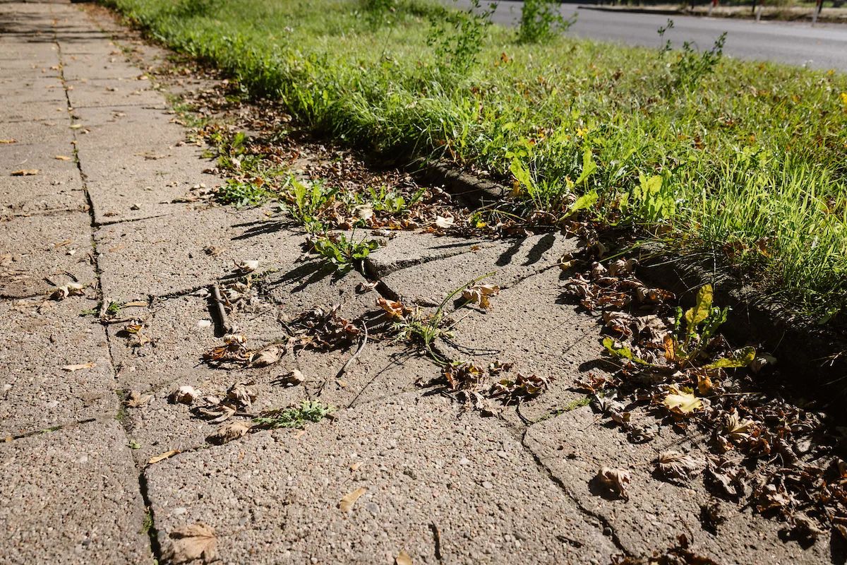 Zmiany na Pomorskiej dla rowerzystów. Kolejne dwa odcinki czekają – zdjęcie 2