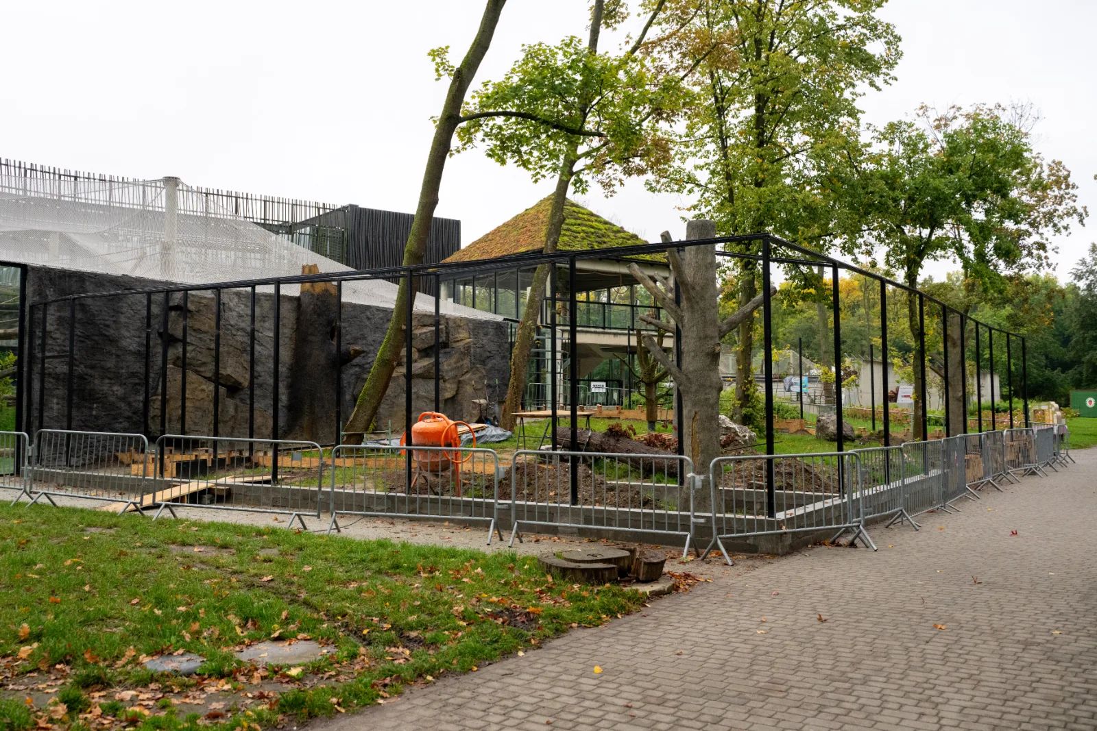 Afrykańska Sawanna rośnie w łódzkim ZOO. Guziec Ik już przyjechał – zdjęcie 6