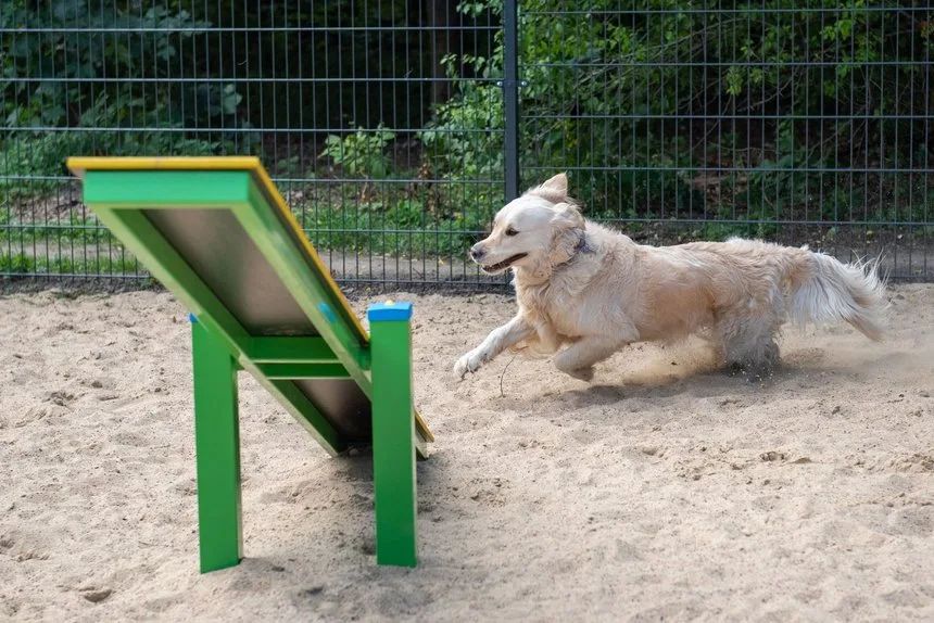 Trzy psie parki w Łodzi już działają. Czwarty powstaje na Chojnach – zdjęcie 2