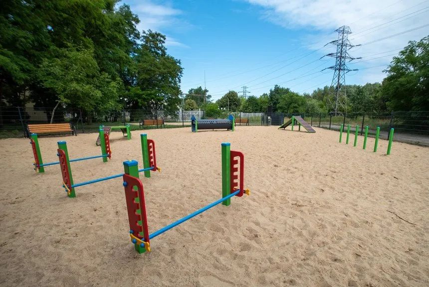 Nowy psi park i 3,1 mln zł dla zwierząt. Co zmieni ŁBO w Łodzi – zdjęcie 4