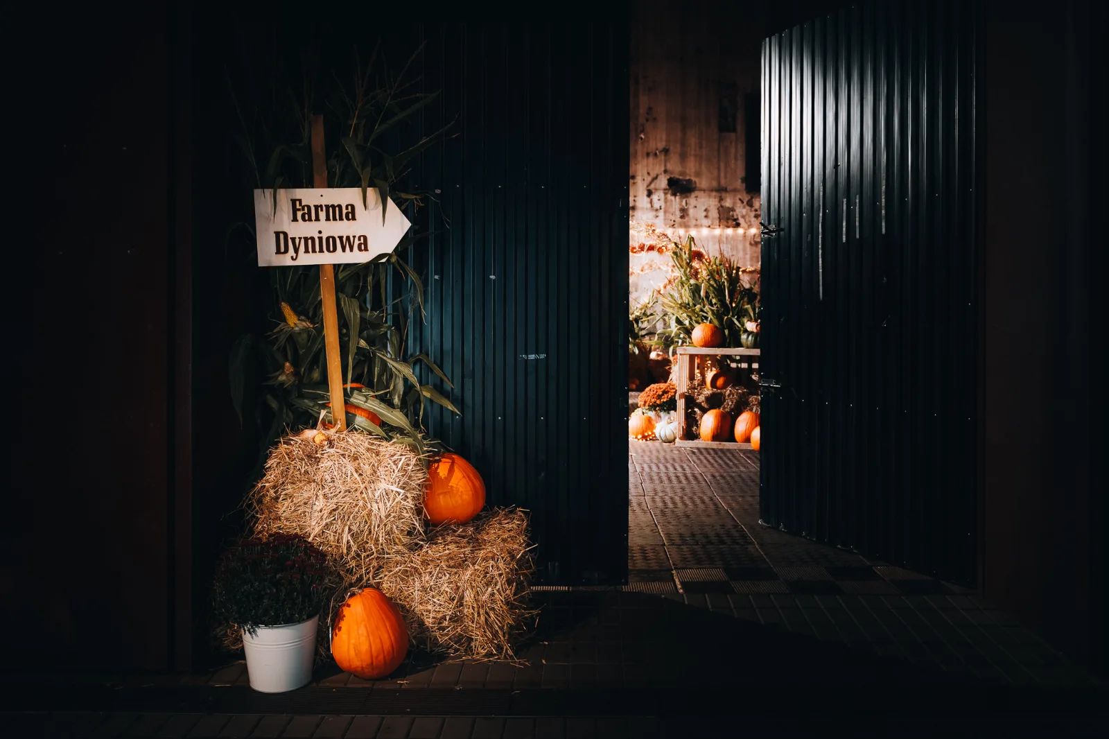 Halloween w Fuzji. Tajemnicza gra miejska w dawnej fabryce – zdjęcie 4