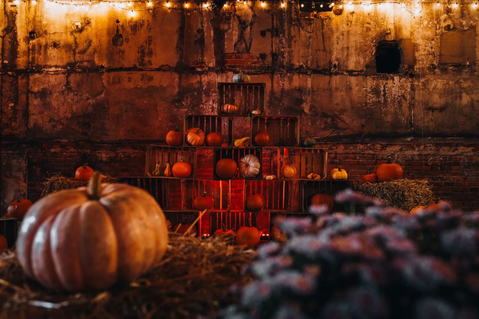 Halloween w Fuzji. Tajemnicza gra miejska w dawnej fabryce – zdjęcie 5