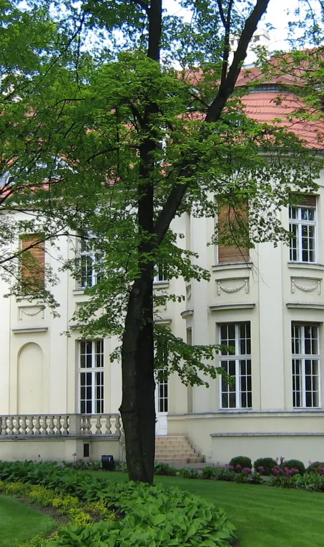 Szostak, Martinů i Clarke w Pałacu Biedermanna. Kiedy koncert?
