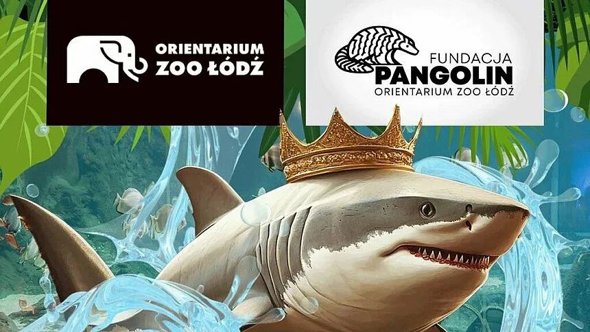 Bieg Rekina w Orientarium Zoo Łódź. Trasa prowadzi przez zoo