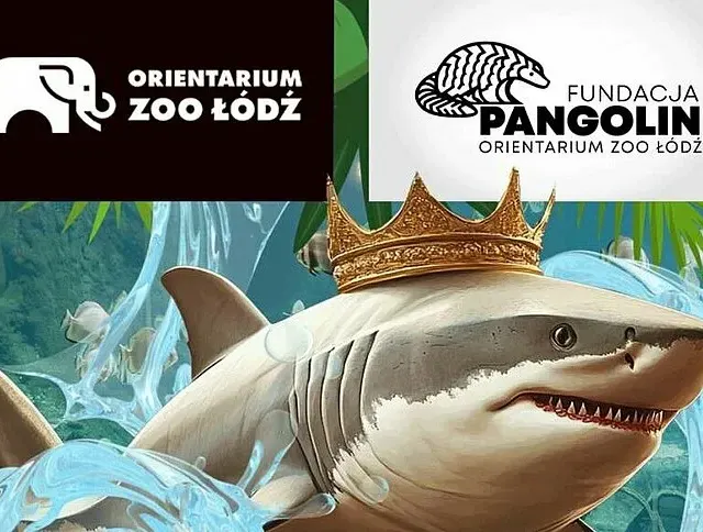 Bieg Rekina w Orientarium Zoo Łódź. Trasa prowadzi przez zoo