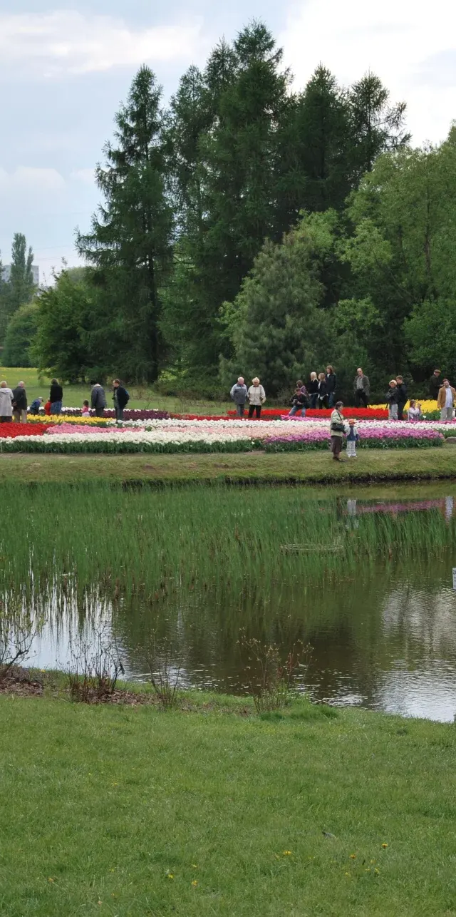 Niedziela w Ogrodzie Botanicznym. Koncerty, tai chi i kiermasz