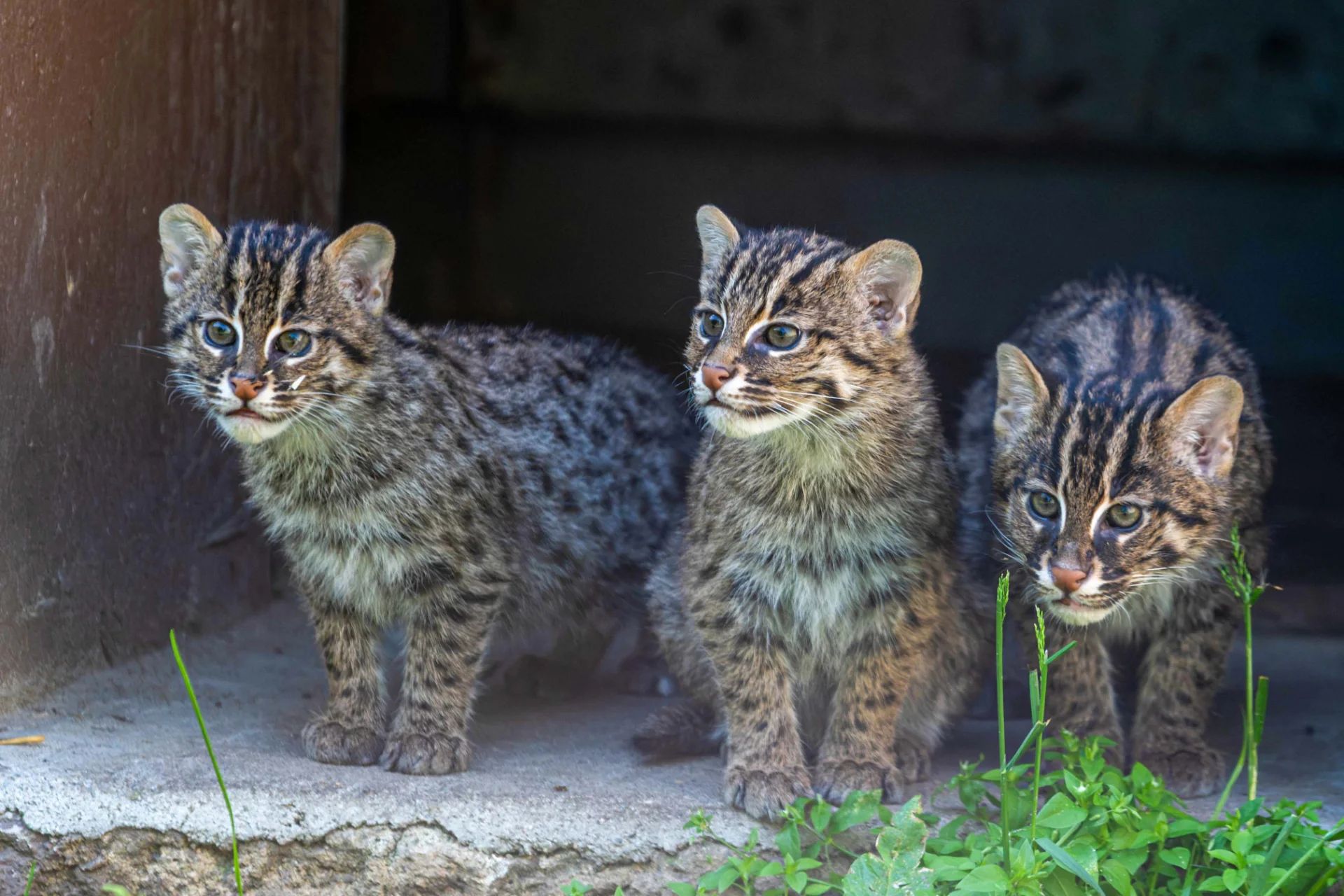 Orientarium ZOO Łódź przedstawia najmłodszych mieszkańców