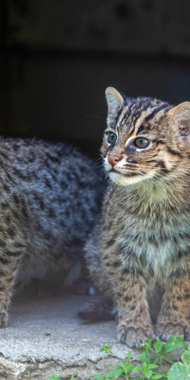 Orientarium ZOO Łódź przedstawia najmłodszych mieszkańców