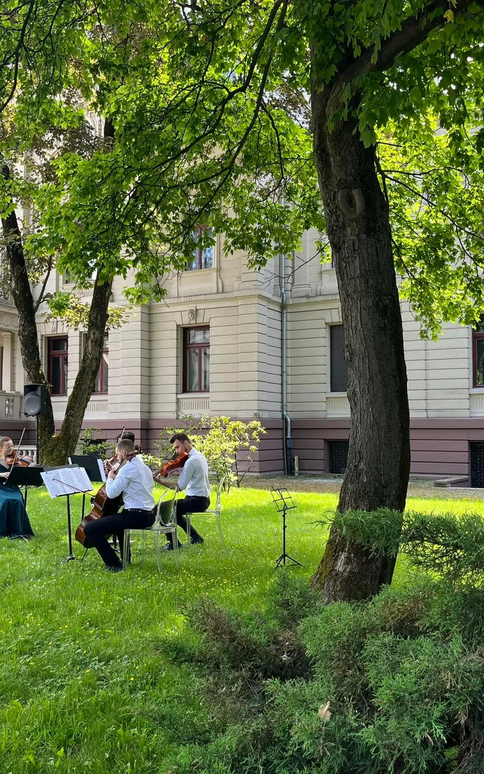 Muzyczne Matinée znów w Muzeum Miasta Łodzi. Start już w niedzielę