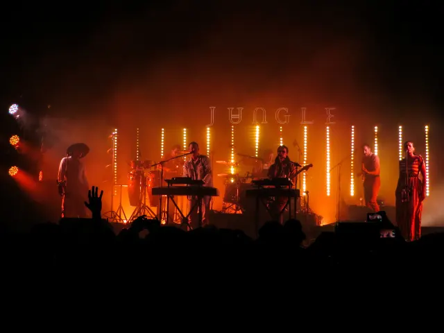 Jungle zagrają w Atlas Arenie. Jedyny taki koncert w Polsce