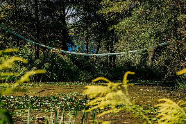 Zielona Łódź z Budżetu Obywatelskiego. Głosowanie trwa
