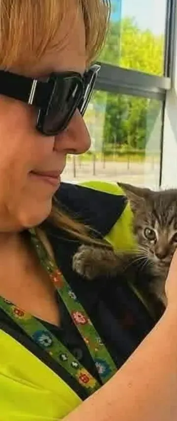 Mały kotek utknął pod tramwajem. Prowadząca ruszyła na ratunek