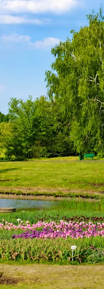 Kwiaty z ogrodu trafią na talerz. Warsztaty w Ogrodzie Botanicznym