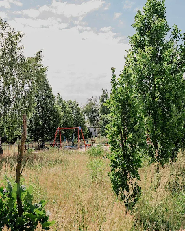 Tyrolka i małpi gaj w Parku na Smulsku. Zdecydowali łodzianie