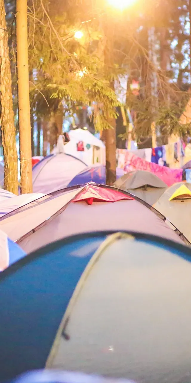Łódź Summer Festival uruchamia pole namiotowe. Znamy cenę